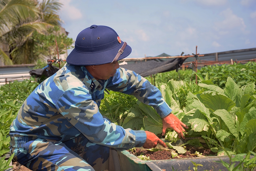 Do trồng được nhiều loại rau, thực đơn của cán bộ, chiến sĩ trên đảo Trường Sa Đông đã đa dạng với các món canh, luộc, xào...